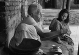Фильм Песнь дороги / Pather Panchali (1955) - cцена 2