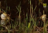 ТВ Уэльс: дикая земля / Wales: The Land of the Wild (2019) - cцена 4