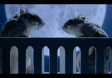 ТВ Крошечные существа / Tiny Creatures (2020) - cцена 1