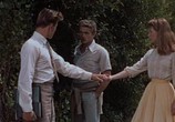Фильм К востоку от рая / East of Eden (1955) - cцена 3