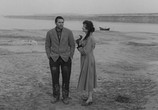 Фильм Крик / Il grido (1957) - cцена 3