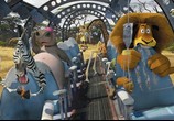 Мультфильм Мадагаскар 2 / Madagascar: Escape 2 Africa (2008) - cцена 5