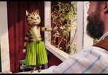 Мультфильм Петсон и Финдус. Маленький мучитель - большая дружба / Pettersson und Findus - Kleiner Quälgeist, große Freundschaft (2014) - cцена 2