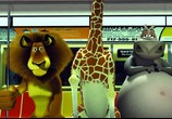 Мультфильм Мадагаскар / Madagascar (2005) - cцена 8