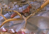 ТВ Государственный Эрмитаж / The State Hermitage Museum (2008) - cцена 3