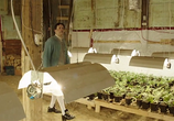 Фильм Плохие семена / Les mauvaises herbes (2016) - cцена 4