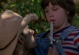Фильм Покрашенный дом / A Painted House (2003) - cцена 6