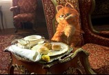 Фильм Гарфилд 2: История двух кошечек  / Garfield: A Tail of Two Kitties (2006) - cцена 4