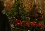 Фильм Вдали от рая / Far from Heaven (2003) - cцена 3