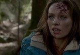 Сцена из фильма Гризли / Into the Grizzly Maze (2014) Гризли сцена 13
