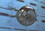 Фильм Фантазм 1-4 / Phantasm 1-4 (1978) - cцена 2
