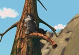 Мультфильм Альфа и Омега 3 / Alpha and Omega 3: The Great Wolf Games (2014) - cцена 1