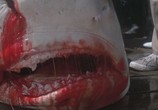 Фильм Челюсти / Jaws (1975) - cцена 4
