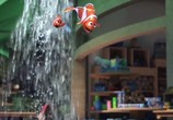 Мультфильм В поисках Дори / Finding Dory (2016) - cцена 9